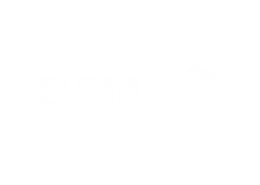 DSM