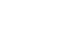 Honig