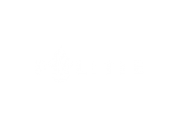 Politie